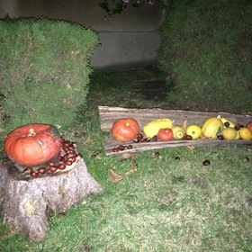 IMG_5573.JPG